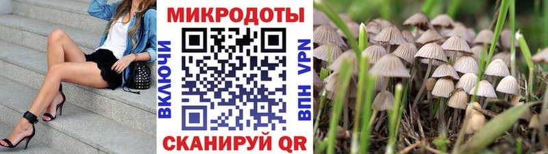 Псилоцибиновые грибы Psilocybine cubensis  ОМГ ОМГ вход  Боготол 